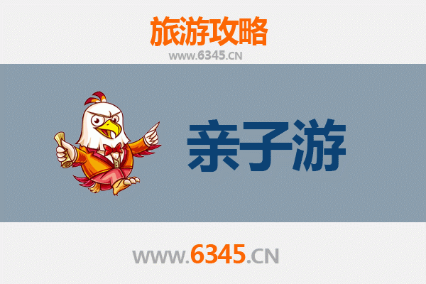 琼中黎母山亲子游攻略：探秘热带雨林，乐享自然时光